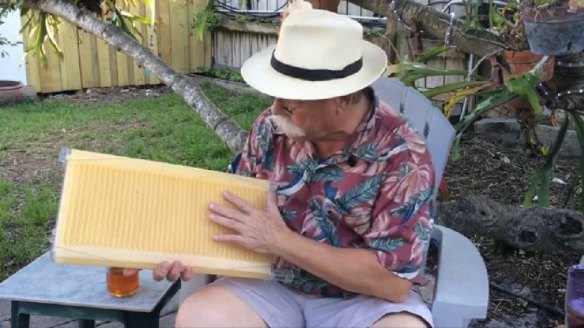 Inside a Tapcomb hive, which its makers claim is substantially different to rival products. 