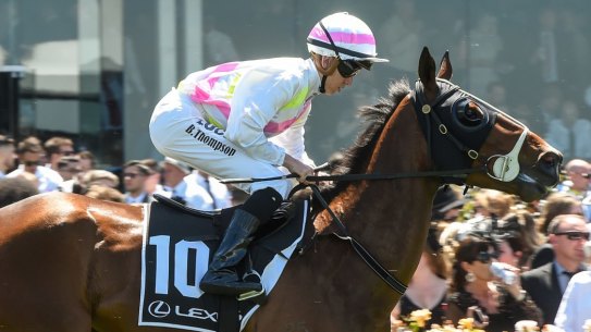 Rose of Virginia,with jockey Ben Thompson, just before the Lexus Stakes at Flemington on Saturday.
