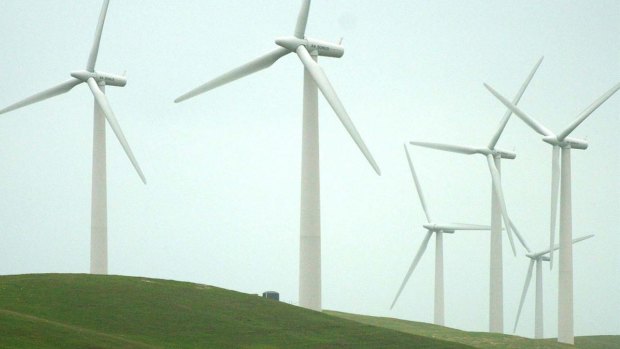 Mr Hockey has described wind turbines as a ''blight on the landscape''.