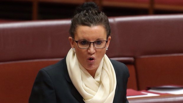 Senator Jacqui Lambie addresses the Senate.