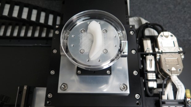 A 3D printer produces a jawbone.