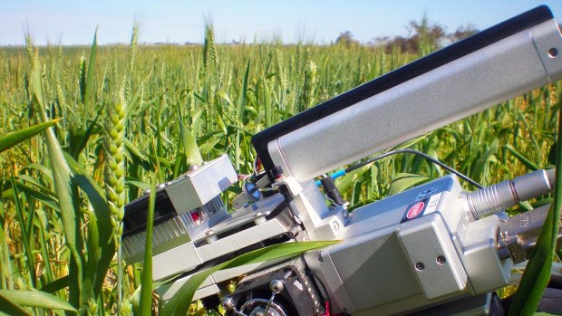 An instrument used by Australian researchers to assess energy efficiency, measuring photosynthesis (energy captured) and respiration (energy used) in real-time.