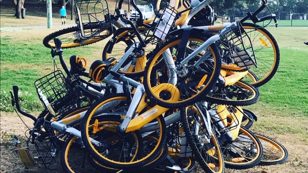 Ride sharing bikes dumped at Waverley Oval, Bondi Road last Friday.