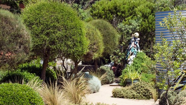  Coastal plants dominate in Fiona Brockhoff's salt-lashed Karkalla Garden on the Mornington Peninsula.