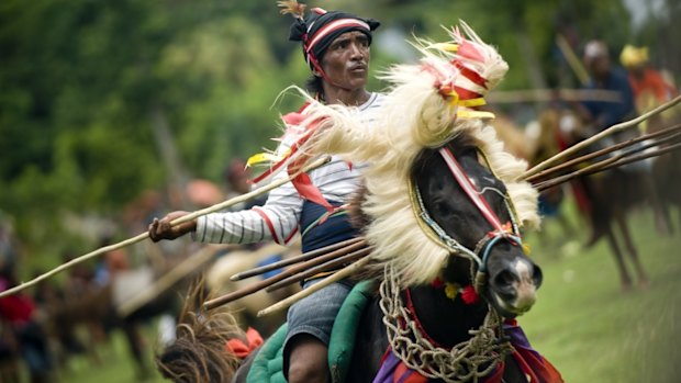 A Sumbanese horseman takes part in the pasola ritual.
