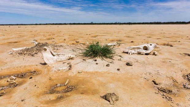 Queensland's Channel Country, as seen through the lens of Rory O'Chee.