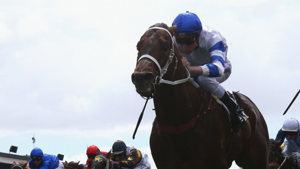 Group 1 targets: Kermadec will focus on the big races only.