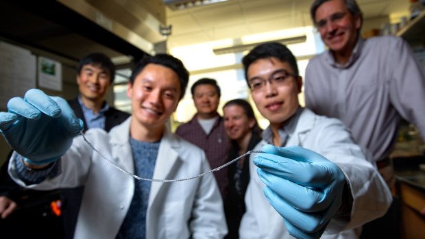 Alan Chiu, left, and Duo An hold a sample of the TRAFFIC  implant. In the background are researchers Minglin Ma, Dan Luo, Meredith Silberstein and Dr. James Flanders.