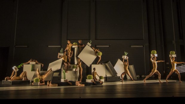 Sydney Dance Company presents Alexander Ekman's Cacti. 