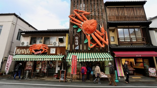 Matsuba crab season Kinosaki Onsen.