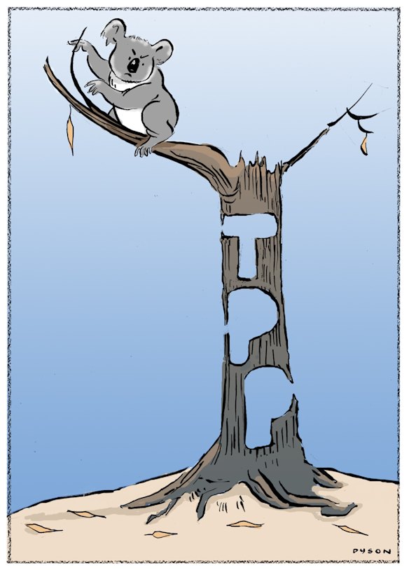 <i>Illustration: Andrew Dyson</i>