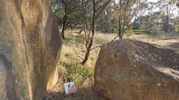 Last week's Where in Canberra was the old exercise circuit around Belconnen's Mt Rogers.