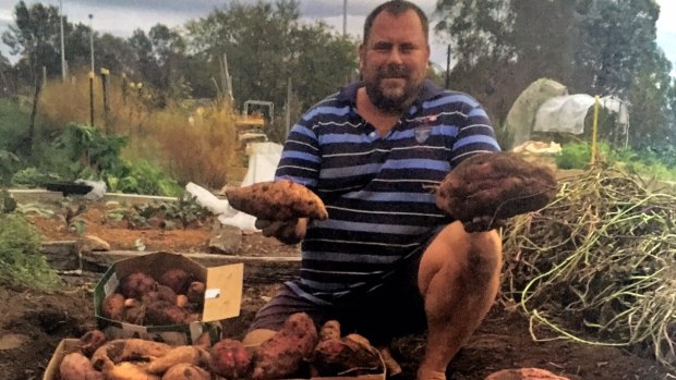 Troy Lloyd with his huge sweet potato harvest.
