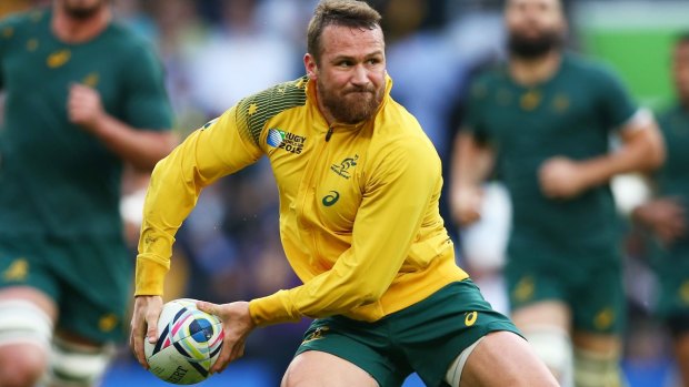 Cool head: Matt Giteau can dictate the game for the home side.