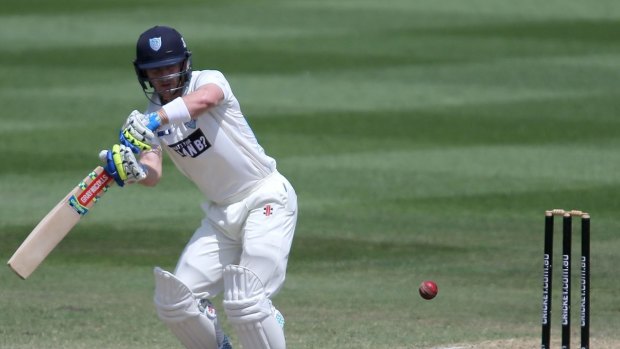 Dumped: Peter Nevill has got back among the runs at state level.