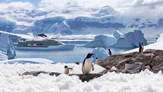 Artist's impression of the new Crystal Endeavor launching in 2020.