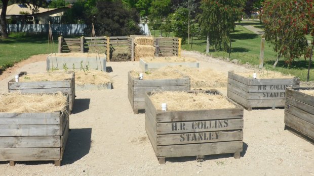Wicking boxes at the Myrtleford Community Garden.