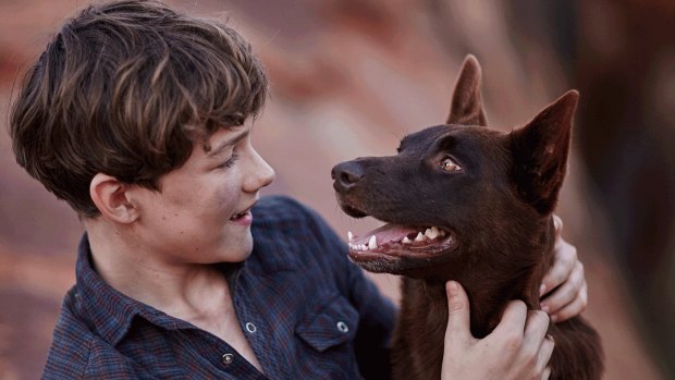 Levi Miller and Phoenix in <i>Red Dog: True Blue</i>.