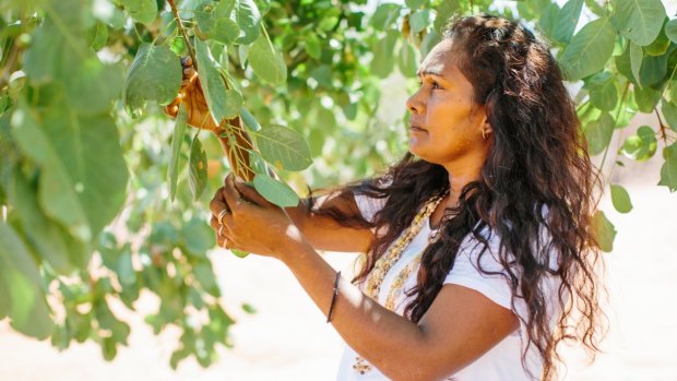 O'Meara's aunt, Gina Kitchener, harvests for Kimberly Wild Gubinge.