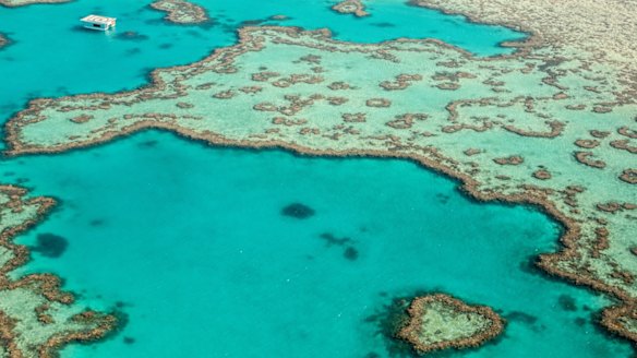 It has taken 10 years for Hamilton Island Air to get permission to anchor a pontoon 300 metres from the famous reef.