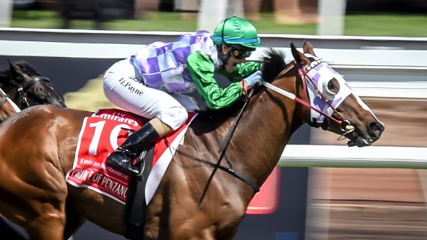 Payne and Prince of Penzance win the Melbourne Cup.