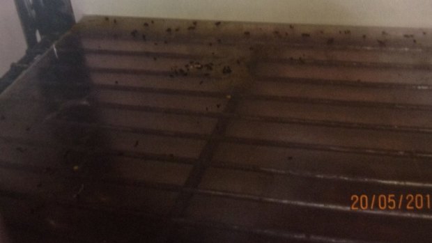 Mouse droppings in dry storage shelving at Red Emperor, as pictured in photographs shown to the court.