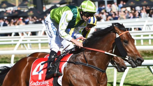 Looking for the double: Divine Prophet wins the Caulfield Guineas  