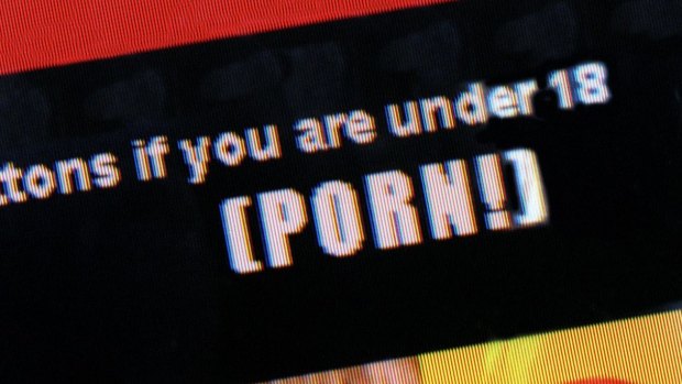 Online pornography.