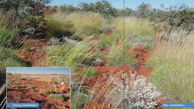 The second example given in the paperwork was of a seed management program run by BHP Billiton in the Pilbara. 