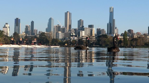 Albert Park Lake: You are now closer to the finish of the run than the start.