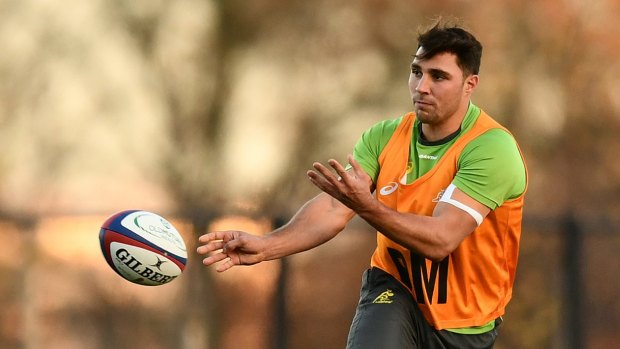 Pressure's on: Nick Phipps is in line to replace Will Genia at No.9.