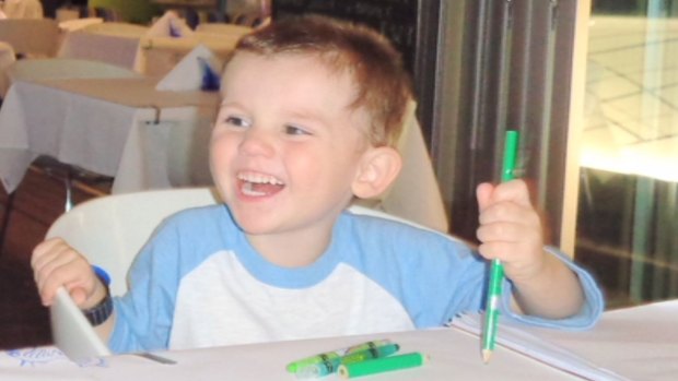 William Tyrrell vanished from his grandmother's Kendall home.