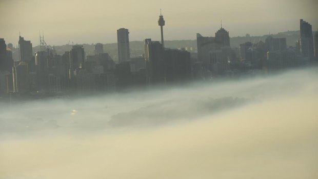 The air quality was rated as "very poor" in parts of Sydney on Friday morning.