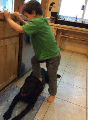 Sarah Palin's son Trig steps on the family dog.