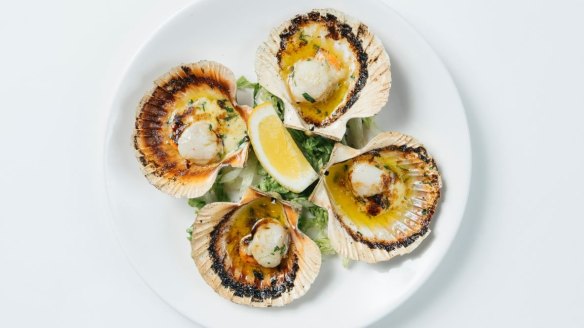 Get a taste of the sea with Rockpool's scallops. 