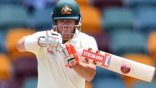 David Warner was in fine form in the second innings, finishing with 87 not out.
