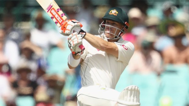 In command: David Warner reached his century three minutes prior to lunch.