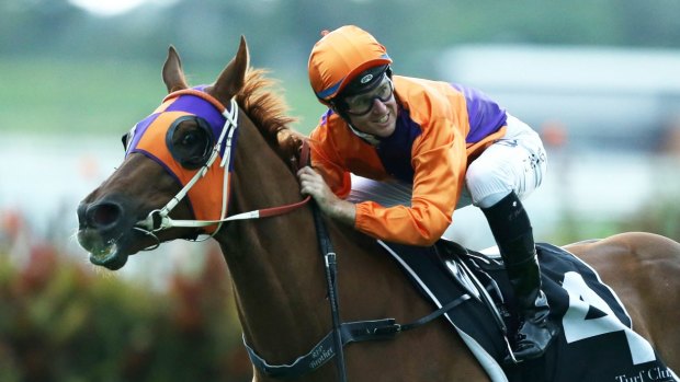 Gruelling trip: Tommy Berry will travel 30,000 kilometres for races in Melbourne and Hong Kong. 