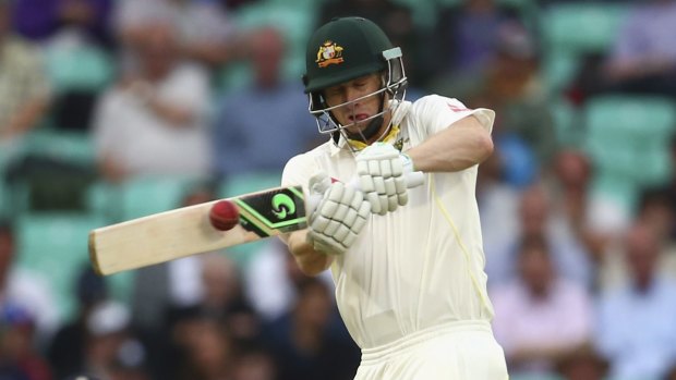Current Australian Test batsman Adam Voges will also play at Manuka Oval.
