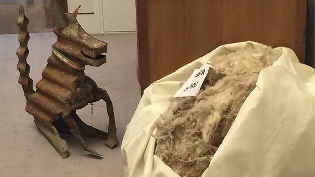 The fleece that Health Minister Sussan Ley was forced to dispose of late last year.