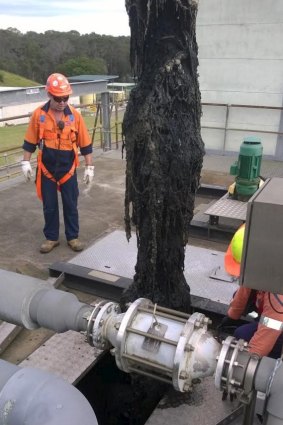 A blockage of wet wipes being removed from Sydney Water's Rouse Hill Treatment Plant.