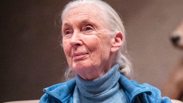 The audience at South Bank was captivated by Dr Jane Goodall, who responded to the opening round of applause with a chimpanzee call.