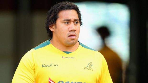One the move: Salesi Ma'afu pictured during is days with the Wallabies.