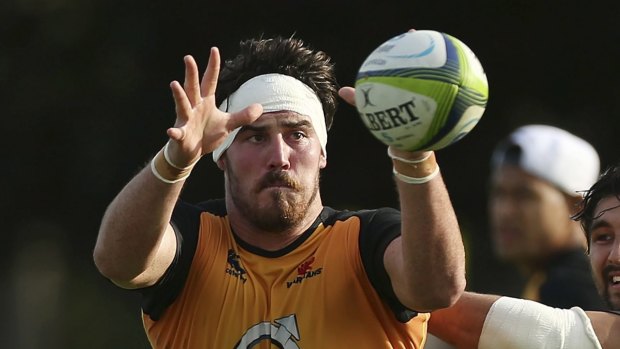 In demand: Wallabies lock Kane Douglas has the backing of former Wallabies coach Bob Dwyer.