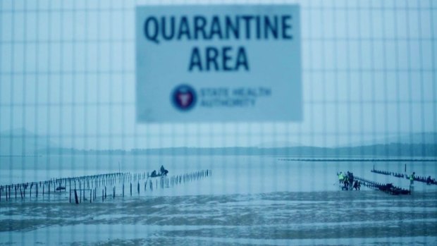 The Kettering Incident: Radioactivity detected after oyster industry destroyed.