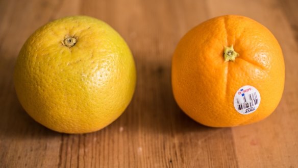 An Aussie farmers market Valencia orange (left) versus a US navel. 