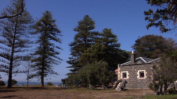 The Point Cook Homestead is next to the forest that hosts the Horror Movie Campout.