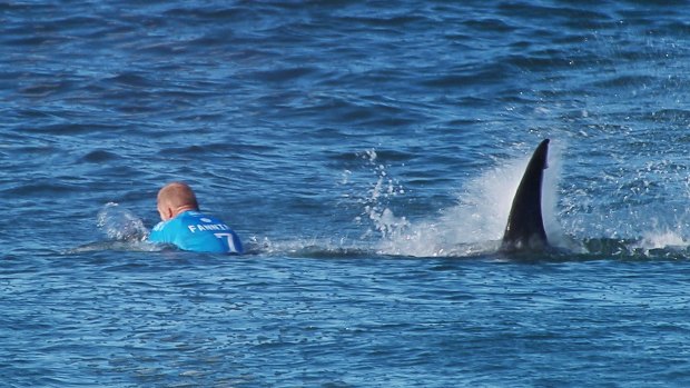 Mick Fanning flees from a great white shark.