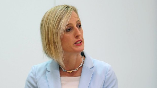 ACT Labor Senator Katy Gallagher is to help convene a parliamentary group looking at constitutional change.