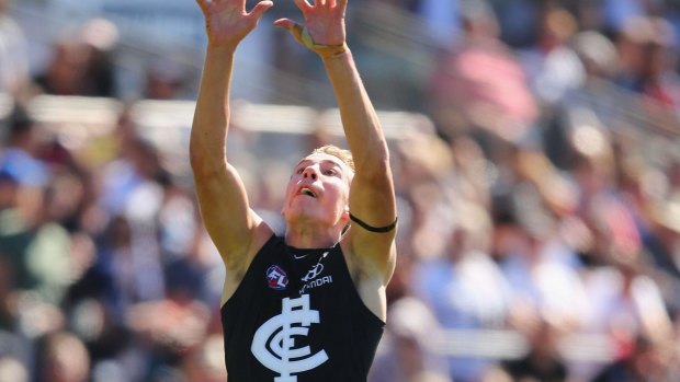 Fighting fit: Carlton prospect Harry McKay returned with the Northern Blues.